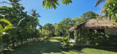 Sense Asia – Photos 3